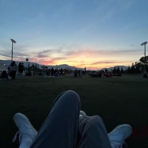 Meet your Posher, Hector a.